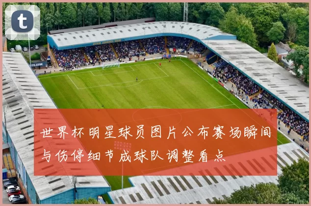 世界杯明星球员图片公布赛场瞬间与伤停细节成球队调整看点