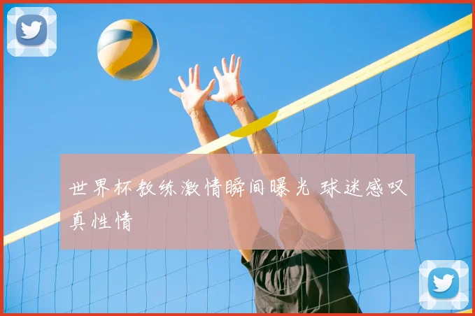 世界杯教练激情瞬间曝光 球迷感叹真性情