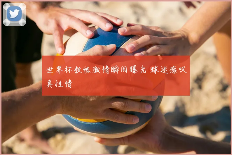 世界杯教练激情瞬间曝光 球迷感叹真性情