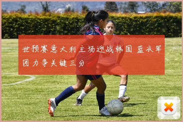 世预赛意大利主场迎战韩国 蓝衣军团力争关键三分